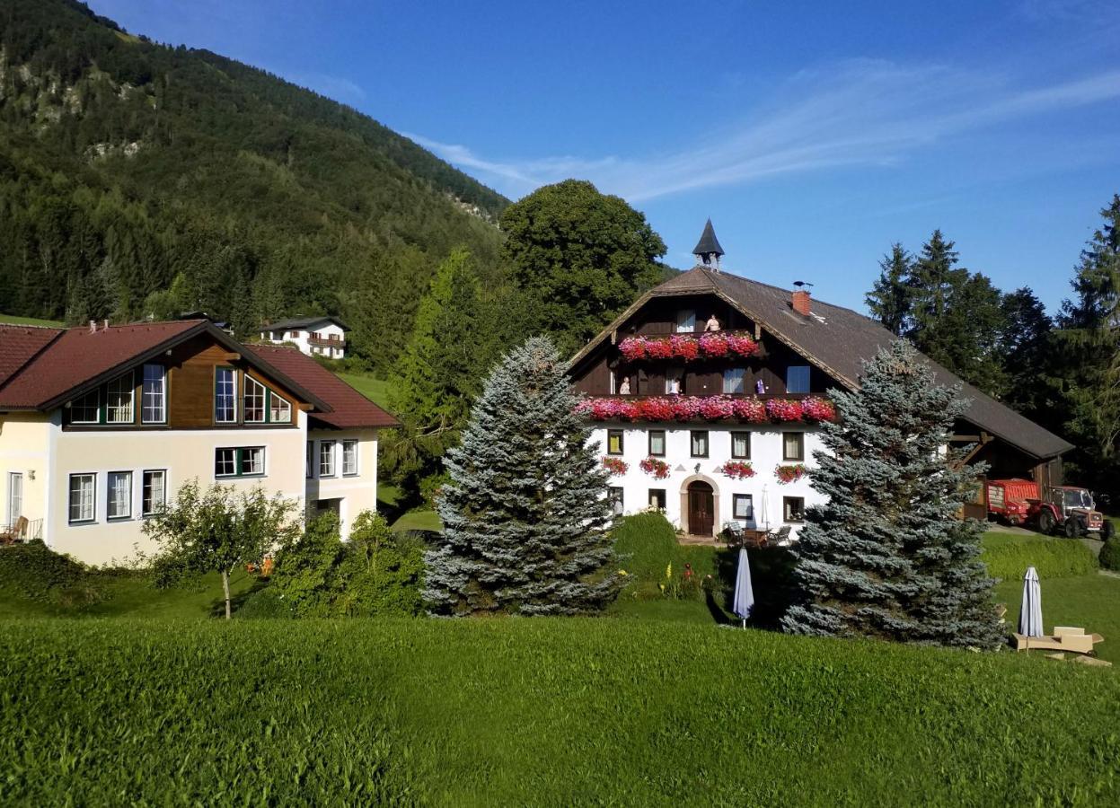 Hotel Pension Hohenau Fuschl am See Esterno foto